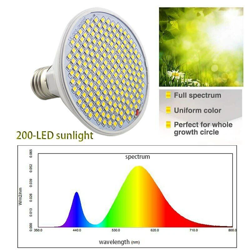 LED PAR38 Grow Bulb LED PAR38 Grow Bulb