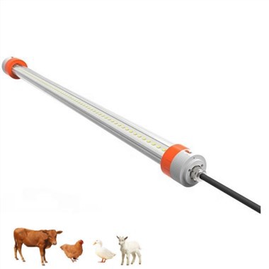 Lumină suplimentară pentru găini