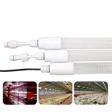 Care sunt primele 4 avantaje ale unui pui de carne cu un climat luminos ideal?