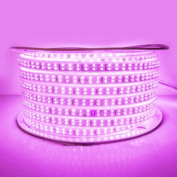 Led Strip 10m
