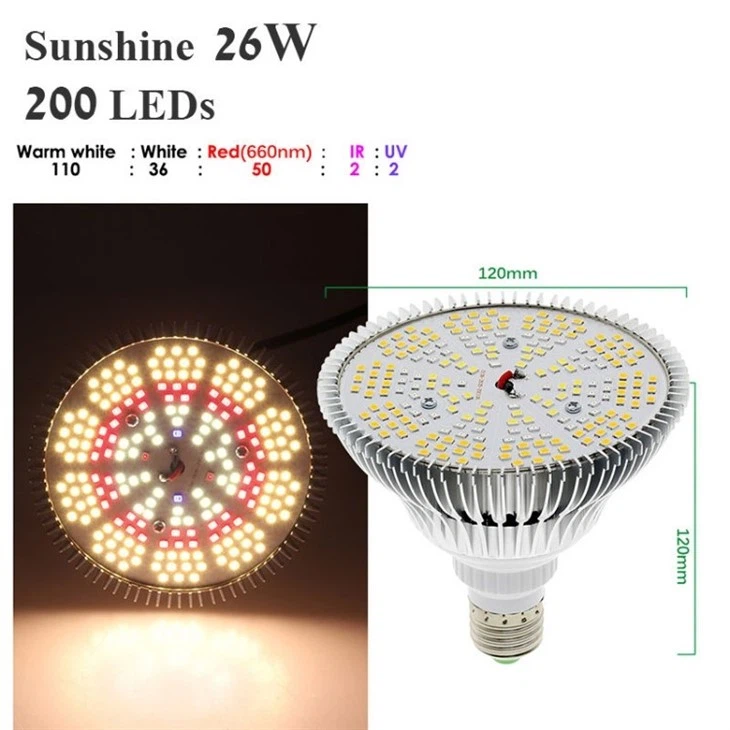 red light bulbs