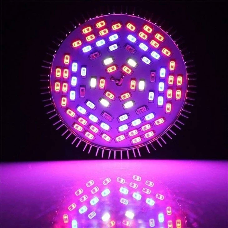 full spectrum grow light bulbs