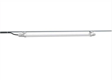 Lumină pentru găină