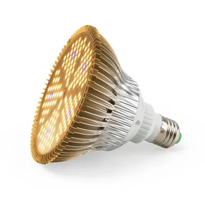 Bec Grow Light