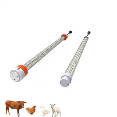 Iluminat Chick Brooder