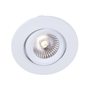 Downlight reglabil IP65