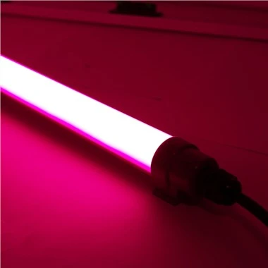 Lumină Led Roșu Pentru Păsări