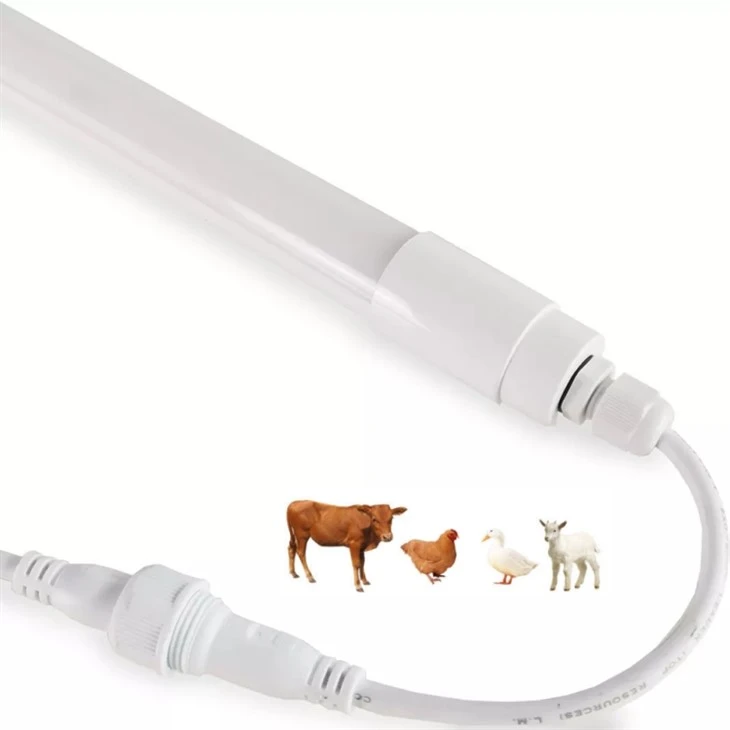 23w,120cm Poultry Light