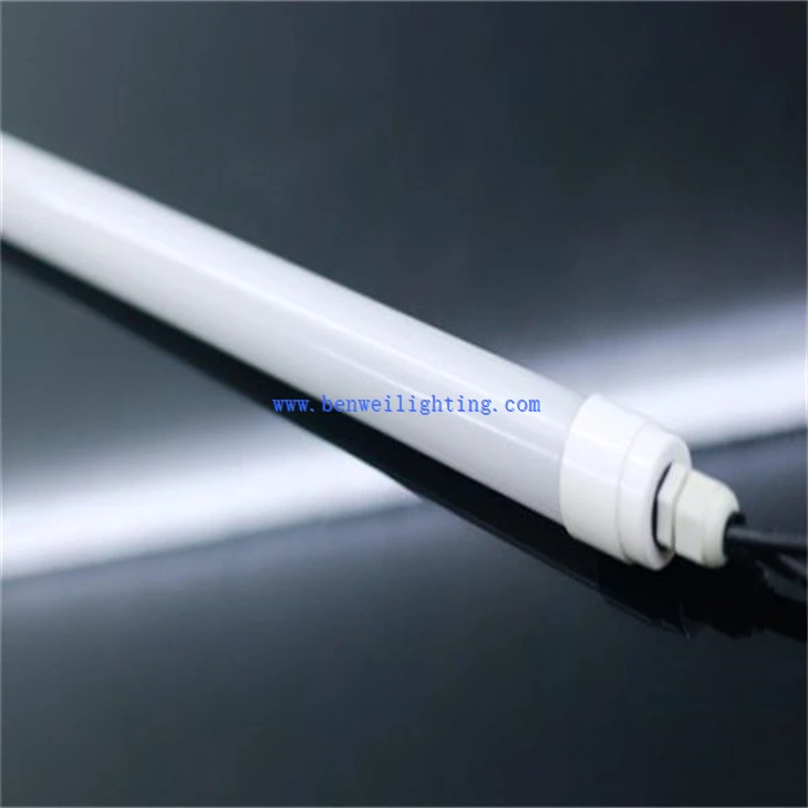 Egg Laying Poultry Light (1)