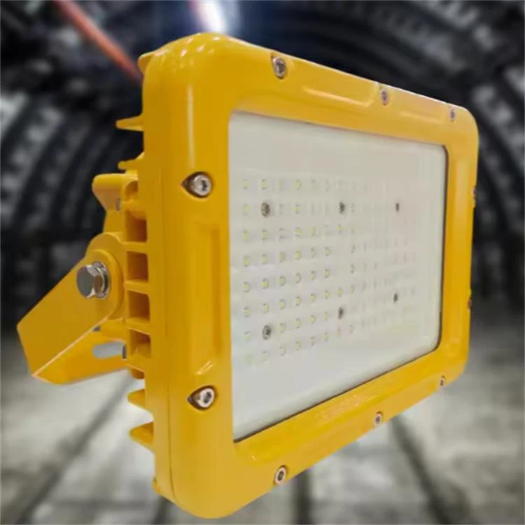 explosion proof light