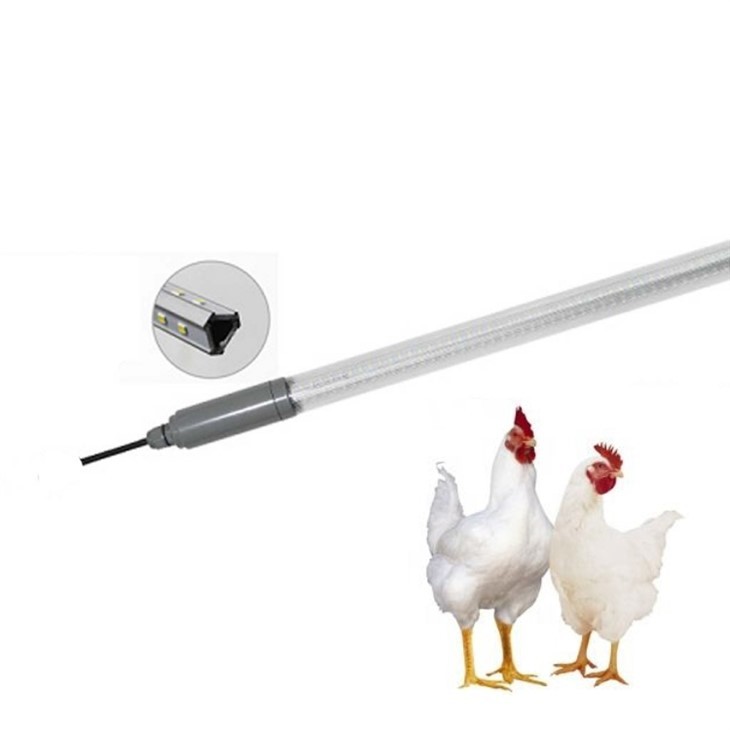 LED Lamp For Chicken Coop 18w