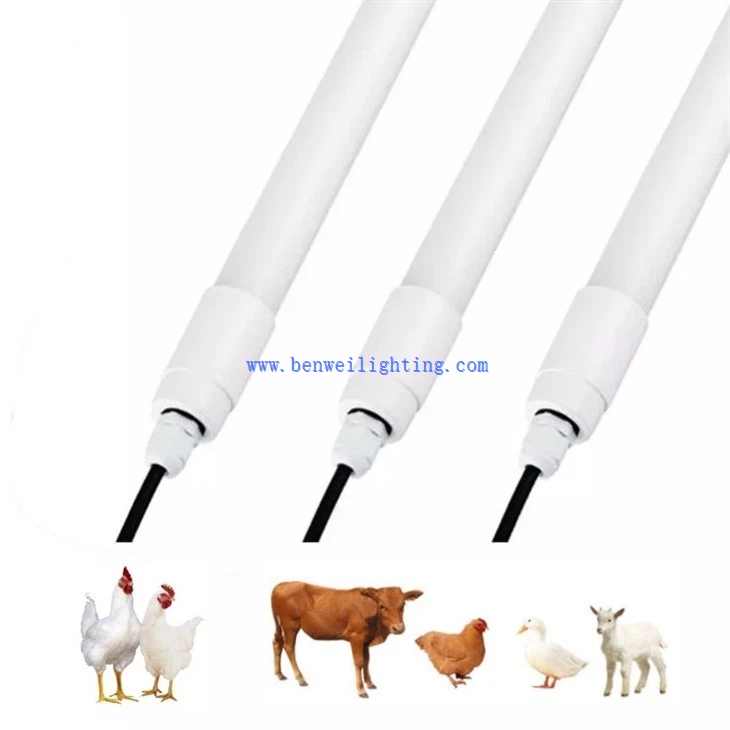 led lights for poultry house