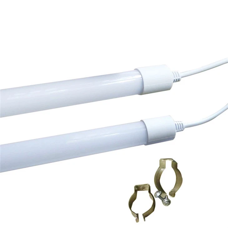 Light For Poultry