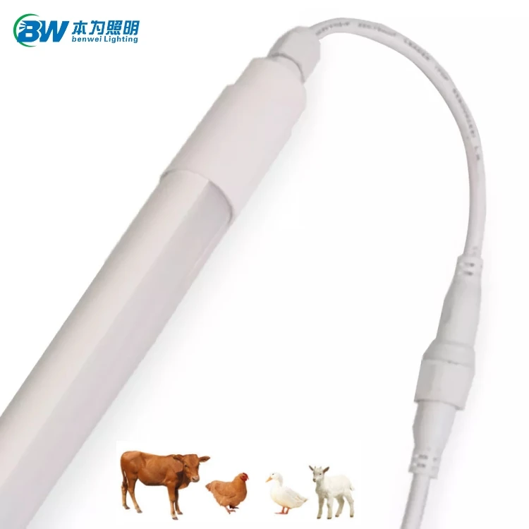 product-750-750 product-750-750