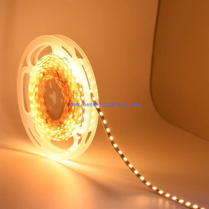 led multicolor light strip