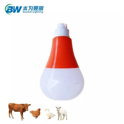 Bec LED 3100K