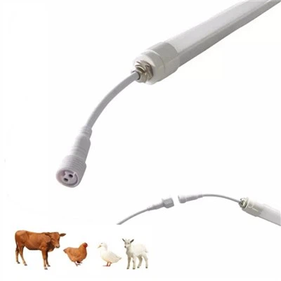 Lumină pentru grajd vaci