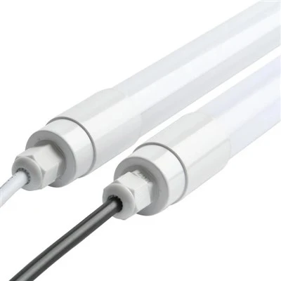 Creșterea vacii de lapte Light