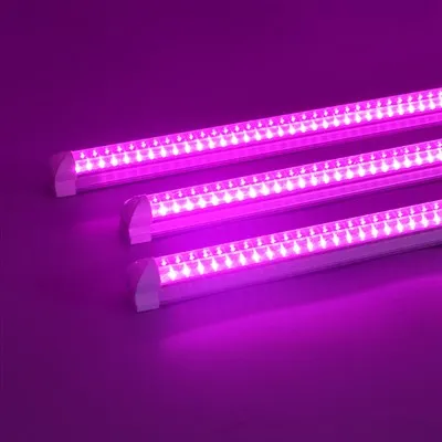 Indoor T8 Growing Light LED Indoor