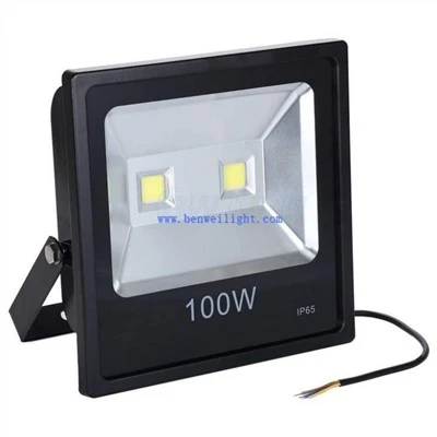 Proiector cu LED pentru exterior, impermeabil Ip67 6900K