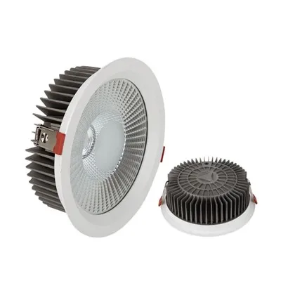 Downlight LED cu integrare a asistentului vocal